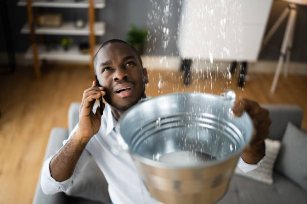 Best Emergency water damage restoration  in Kenai, AK