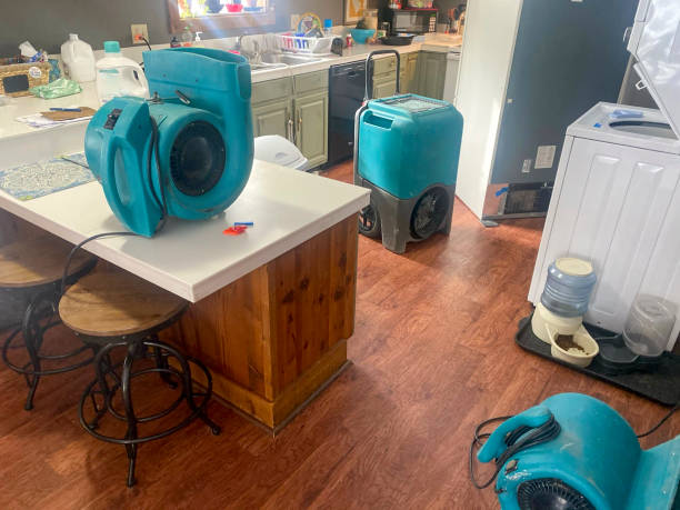 Best Basement water damage restoration  in Kenai, AK