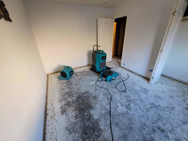 Best Carpet water damage restoration  in Kenai, AK