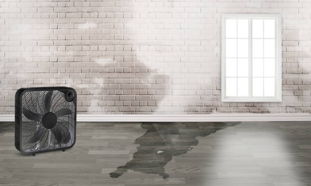 Best 24-hour water damage restoration  in Kenai, AK