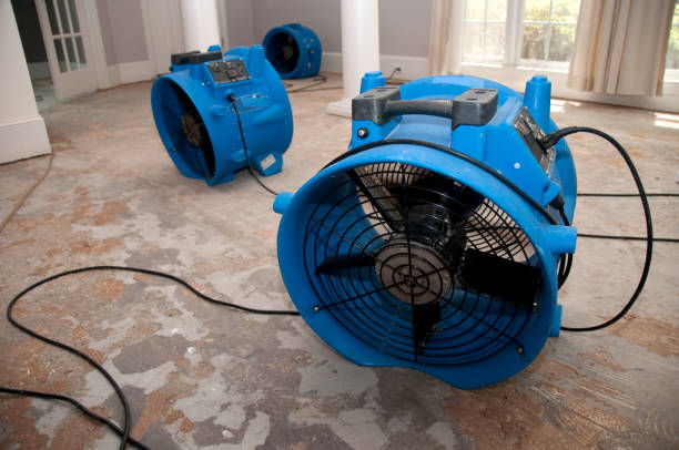 Best Basement water damage restoration  in Kenai, AK