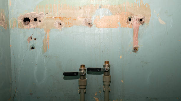 Best Local water damage restoration  in Kenai, AK