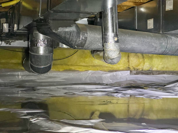 Best Ceiling water damage repair  in Kenai, AK