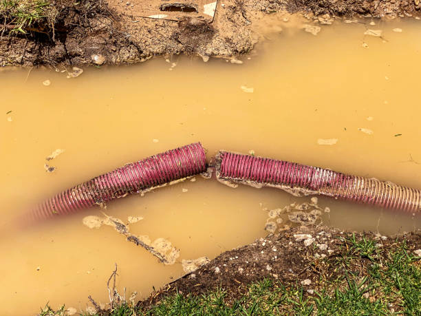 Best Local water damage restoration  in Kenai, AK