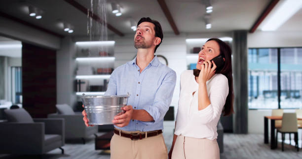 Best Water damage restoration near me  in Kenai, AK
