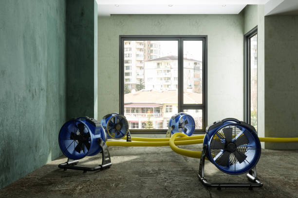 Best Water damage contractors near me  in Kenai, AK