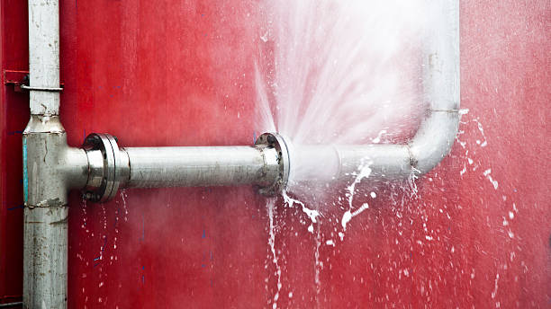Best Fire Damage Restoration  in Kenai, AK