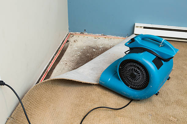 Best Flooded house restoration  in Kenai, AK